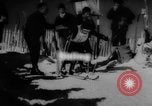 Image le ski United States USA, 1962, de la seconde 1 séquences d'archives historiques vidéo 65675046642