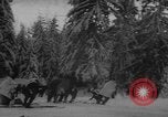 Image le ski United States USA, 1962, de la seconde 8 séquences d'archives historiques vidéo 65675046642