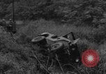 Image soldats tombés dans une embuscade en Corée du Sud, 1963, de la seconde 11 séquences d'archives historiques vidéo 65675046643