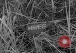 Image soldats tombés dans une embuscade en Corée du Sud, 1963, de la seconde 22 séquences d'archives historiques vidéo 65675046643