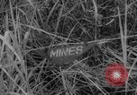 Image soldats tombés dans une embuscade en Corée du Sud, 1963, de la seconde 23 séquences d'archives historiques vidéo 65675046643