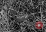 Image soldats tombés dans une embuscade en Corée du Sud, 1963, de la seconde 24 séquences d'archives historiques vidéo 65675046643