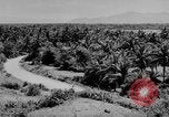 Standbild das zivile Leben Vietnam, 1962, aus Sekunde 41 historischem Filmmaterial Videoclip 65675046653