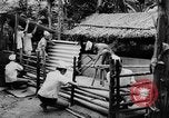 Standbild das zivile Leben Vietnam, 1962, aus Sekunde 46 historischem Filmmaterial Videoclip 65675046653