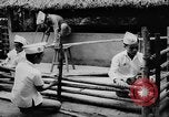 Standbild das zivile Leben Vietnam, 1962, aus Sekunde 47 historischem Filmmaterial Videoclip 65675046653