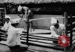 Standbild das zivile Leben Vietnam, 1962, aus Sekunde 48 historischem Filmmaterial Videoclip 65675046653