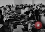 Standbild das zivile Leben Vietnam, 1962, aus Sekunde 10 historischem Filmmaterial Videoclip 65675046654