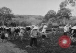 Image of Farming in Vietnam early 1960s Vietnam, 1962, second 12 stock footage video 65675046655