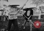 Image of Farming in Vietnam early 1960s Vietnam, 1962, second 14 stock footage video 65675046655