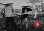 Image of Farming in Vietnam early 1960s Vietnam, 1962, second 15 stock footage video 65675046655