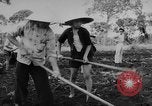 Image of Farming in Vietnam early 1960s Vietnam, 1962, second 16 stock footage video 65675046655