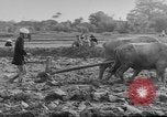 Image of Farming in Vietnam early 1960s Vietnam, 1962, second 21 stock footage video 65675046655