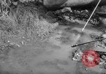 Image of health measures Vietnam, 1962, second 14 stock footage video 65675046657