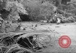 Immagine di Danni dovuti a sgranare Il Vietnam, 1962, secondo 1 filmato di repertorio 65675046658