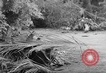 Immagine di Danni dovuti a sgranare Il Vietnam, 1962, secondo 4 filmato di repertorio 65675046658