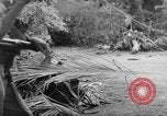 Immagine di Danni dovuti a sgranare Il Vietnam, 1962, secondo 5 filmato di repertorio 65675046658