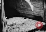 Immagine di Danni dovuti a sgranare Il Vietnam, 1962, secondo 52 filmato di repertorio 65675046658