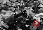 Standbild das zivile Leben Vietnam, 1962, aus Sekunde 8 historischem Filmmaterial Videoclip 65675046663