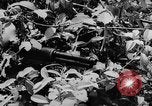 Standbild das zivile Leben Vietnam, 1962, aus Sekunde 11 historischem Filmmaterial Videoclip 65675046663