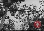 Standbild das zivile Leben Vietnam, 1962, aus Sekunde 13 historischem Filmmaterial Videoclip 65675046663
