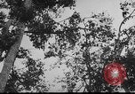 Standbild das zivile Leben Vietnam, 1962, aus Sekunde 14 historischem Filmmaterial Videoclip 65675046663