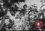 Standbild das zivile Leben Vietnam, 1962, aus Sekunde 15 historischem Filmmaterial Videoclip 65675046663