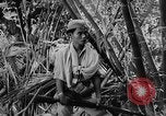 Image of Vietnamese soldiers Vietnam, 1962, second 21 stock footage video 65675046664