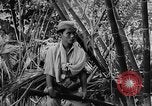 Image of Vietnamese soldiers Vietnam, 1962, second 22 stock footage video 65675046664