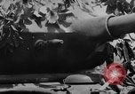 Image of Vietnamese soldiers Vietnam, 1962, second 27 stock footage video 65675046664