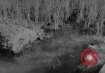 Image of Vietnamese soldiers Vietnam, 1962, second 56 stock footage video 65675046664
