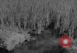 Image of Vietnamese soldiers Vietnam, 1962, second 57 stock footage video 65675046664