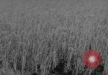 Image of Vietnamese soldiers Vietnam, 1962, second 59 stock footage video 65675046664