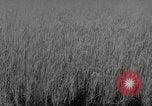 Image of Vietnamese soldiers Vietnam, 1962, second 60 stock footage video 65675046664