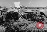 Image of Vietnamese soldiers Vietnam, 1962, second 62 stock footage video 65675046664