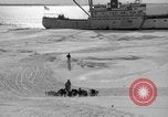 Immagine di L'ammiraglio Byrd Antartico del III spedizione L'Antartide, 1941, secondo 3 filmato di repertorio 65675046681
