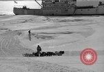 Immagine di L'ammiraglio Byrd Antartico del III spedizione L'Antartide, 1941, secondo 5 filmato di repertorio 65675046681