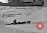 Immagine di L'ammiraglio Byrd Antartico del III spedizione L'Antartide, 1941, secondo 8 filmato di repertorio 65675046681