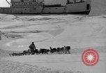 Immagine di L'ammiraglio Byrd Antartico del III spedizione L'Antartide, 1941, secondo 9 filmato di repertorio 65675046681