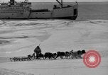 Immagine di L'ammiraglio Byrd Antartico del III spedizione L'Antartide, 1941, secondo 11 filmato di repertorio 65675046681