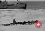 Immagine di L'ammiraglio Byrd Antartico del III spedizione L'Antartide, 1941, secondo 12 filmato di repertorio 65675046681