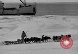 Immagine di L'ammiraglio Byrd Antartico del III spedizione L'Antartide, 1941, secondo 13 filmato di repertorio 65675046681