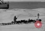 Immagine di L'ammiraglio Byrd Antartico del III spedizione L'Antartide, 1941, secondo 15 filmato di repertorio 65675046681