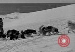 Immagine di L'ammiraglio Byrd Antartico del III spedizione L'Antartide, 1941, secondo 20 filmato di repertorio 65675046681