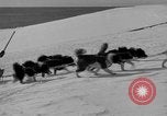 Immagine di L'ammiraglio Byrd Antartico del III spedizione L'Antartide, 1941, secondo 22 filmato di repertorio 65675046681