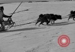 Immagine di L'ammiraglio Byrd Antartico del III spedizione L'Antartide, 1941, secondo 25 filmato di repertorio 65675046681
