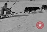 Immagine di L'ammiraglio Byrd Antartico del III spedizione L'Antartide, 1941, secondo 26 filmato di repertorio 65675046681