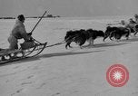 Immagine di L'ammiraglio Byrd Antartico del III spedizione L'Antartide, 1941, secondo 27 filmato di repertorio 65675046681
