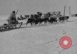 Immagine di L'ammiraglio Byrd Antartico del III spedizione L'Antartide, 1941, secondo 30 filmato di repertorio 65675046681