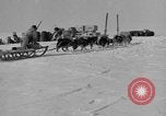 Immagine di L'ammiraglio Byrd Antartico del III spedizione L'Antartide, 1941, secondo 31 filmato di repertorio 65675046681