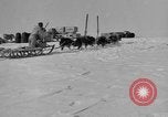 Immagine di L'ammiraglio Byrd Antartico del III spedizione L'Antartide, 1941, secondo 32 filmato di repertorio 65675046681